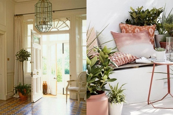 Không gian nhà với nhiều cây xanh trang trí, ánh sáng tự nhiên tạo cảm giác dễ chịu