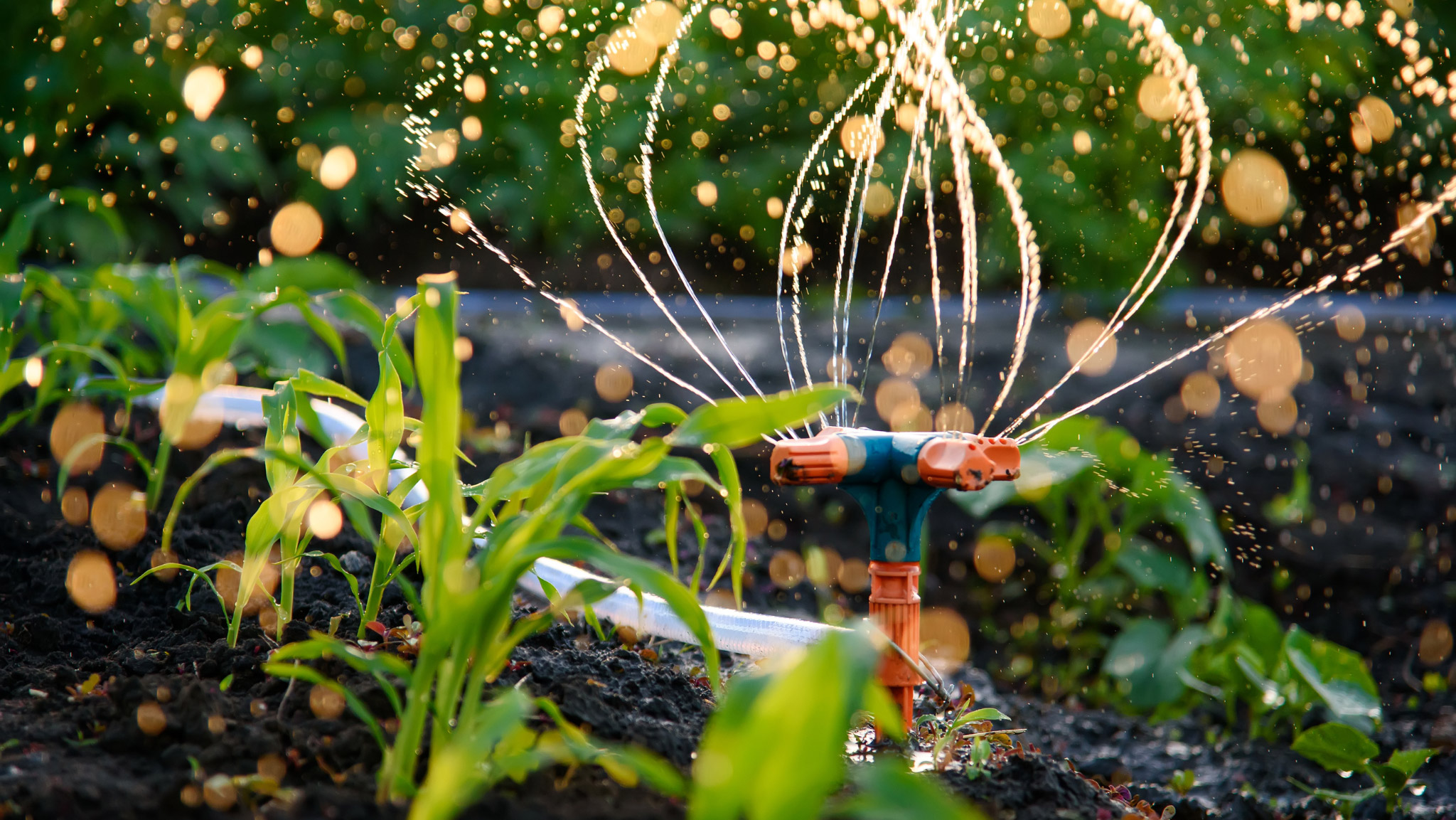 he thong tuoi cay tu dong avt