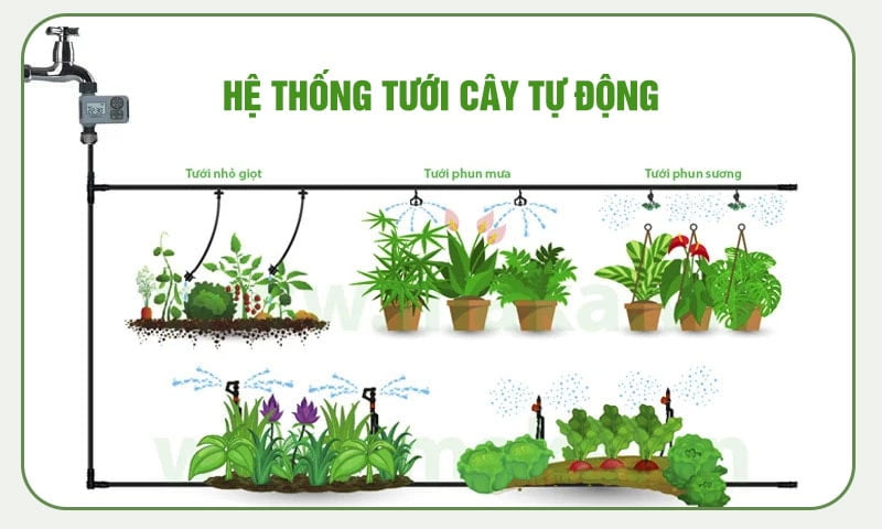 Hệ thông tưới tự động