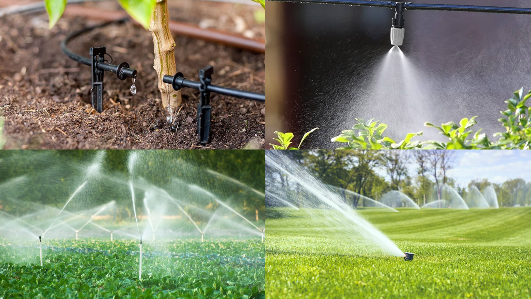 phan loai cac he thong tuoi cay tu dong