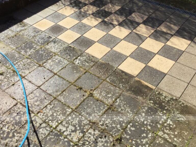 Bí Quyết Xử Lý Rêu Mốc Khu Vực Ngoài Trời: Sạch Bong Sáng Bóng, Chẳng Lo Trơn Trượt san vuon reu