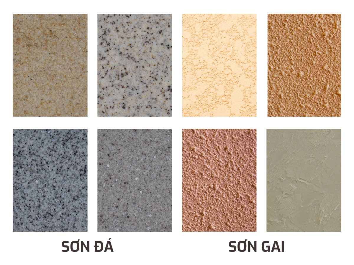 Ứng dụng thực tế giúp nhận biết sơn gai là gì